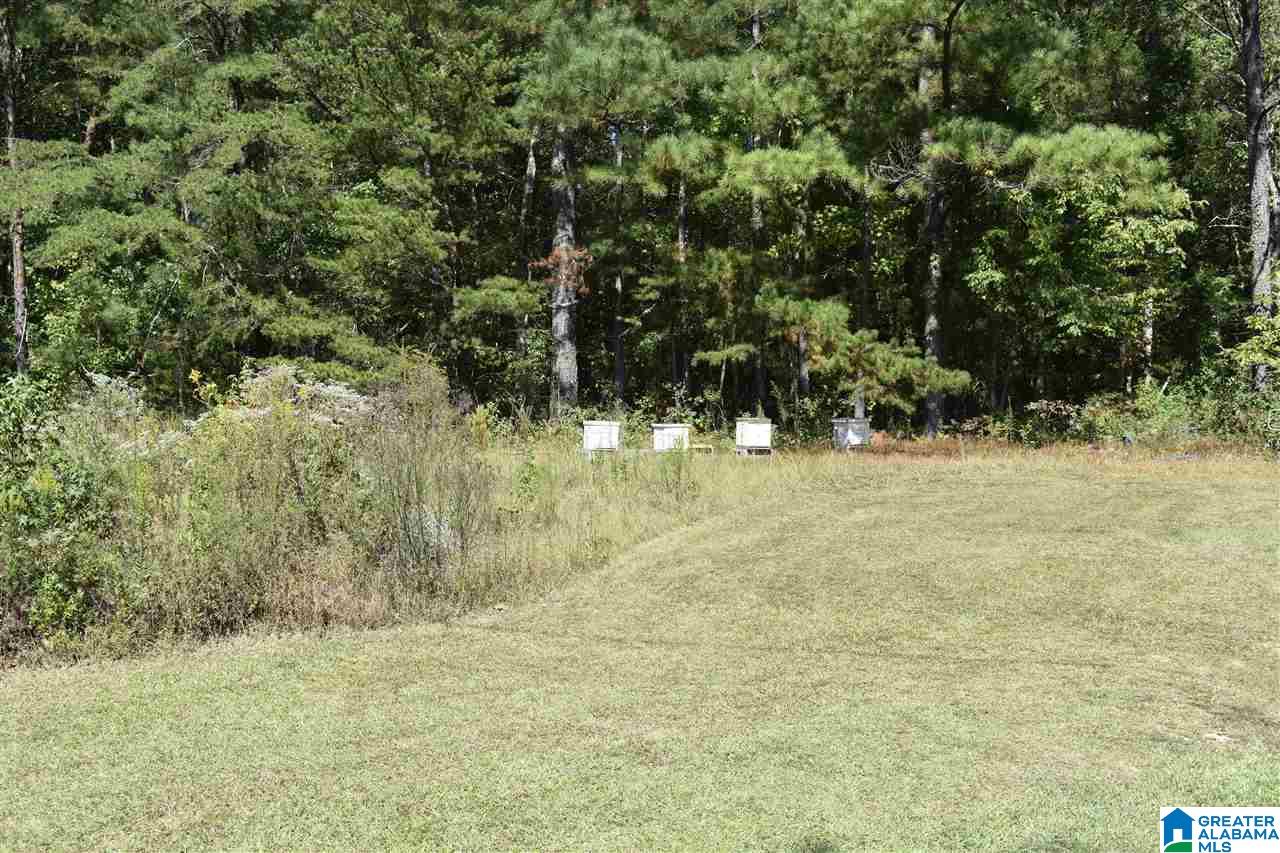 13933 B T Short Cutoff Road Vance, AL 35490 - Photo 4 of 30