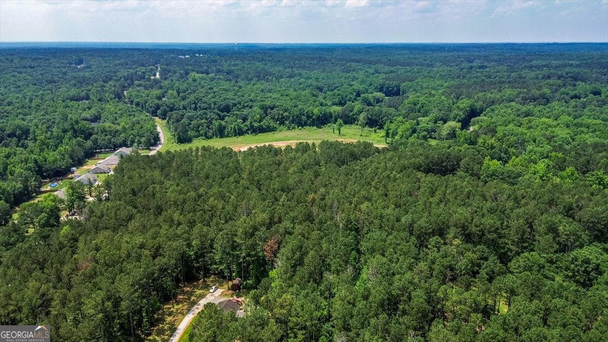 0 Spratlin Mill Road Hull, GA 30646 - Photo 3 of 10