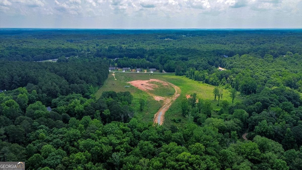 0 Spratlin Mill Road Hull, GA 30646 - Photo 4 of 10