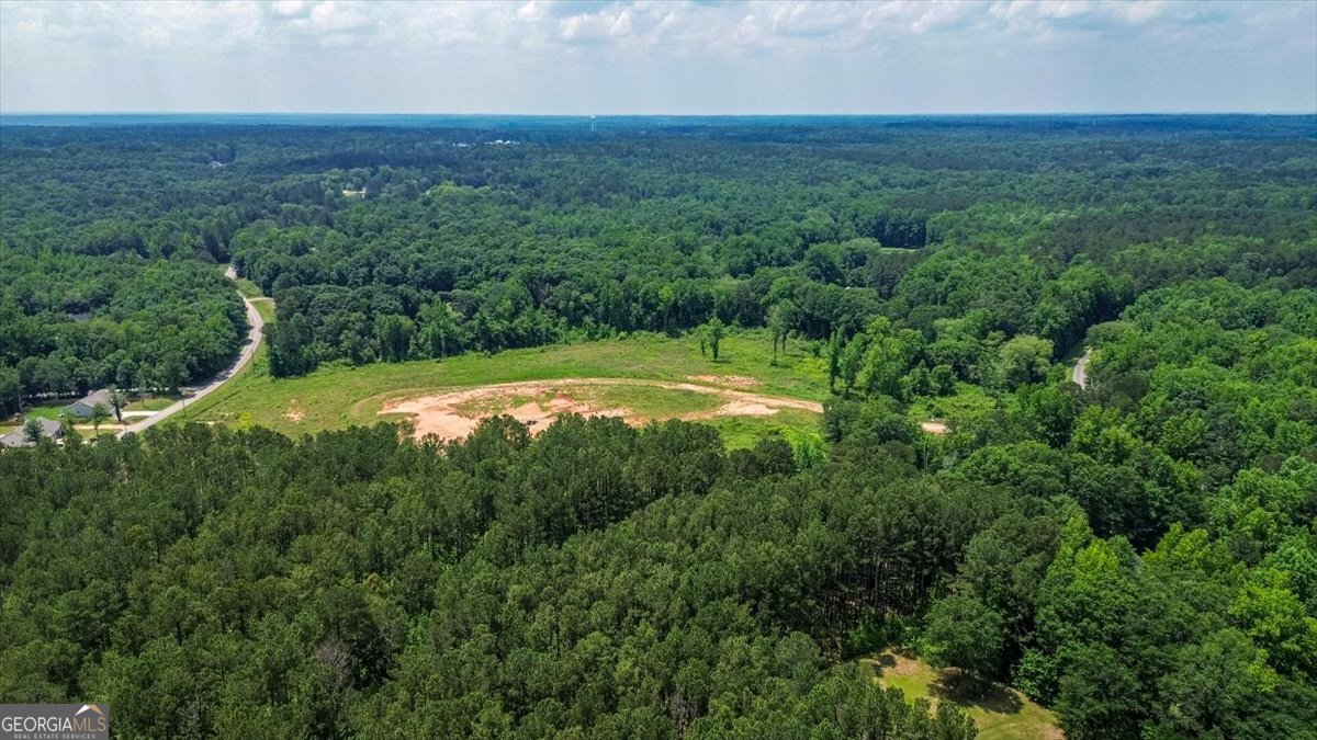 0 Spratlin Mill Road Hull, GA 30646 - Photo 7 of 10