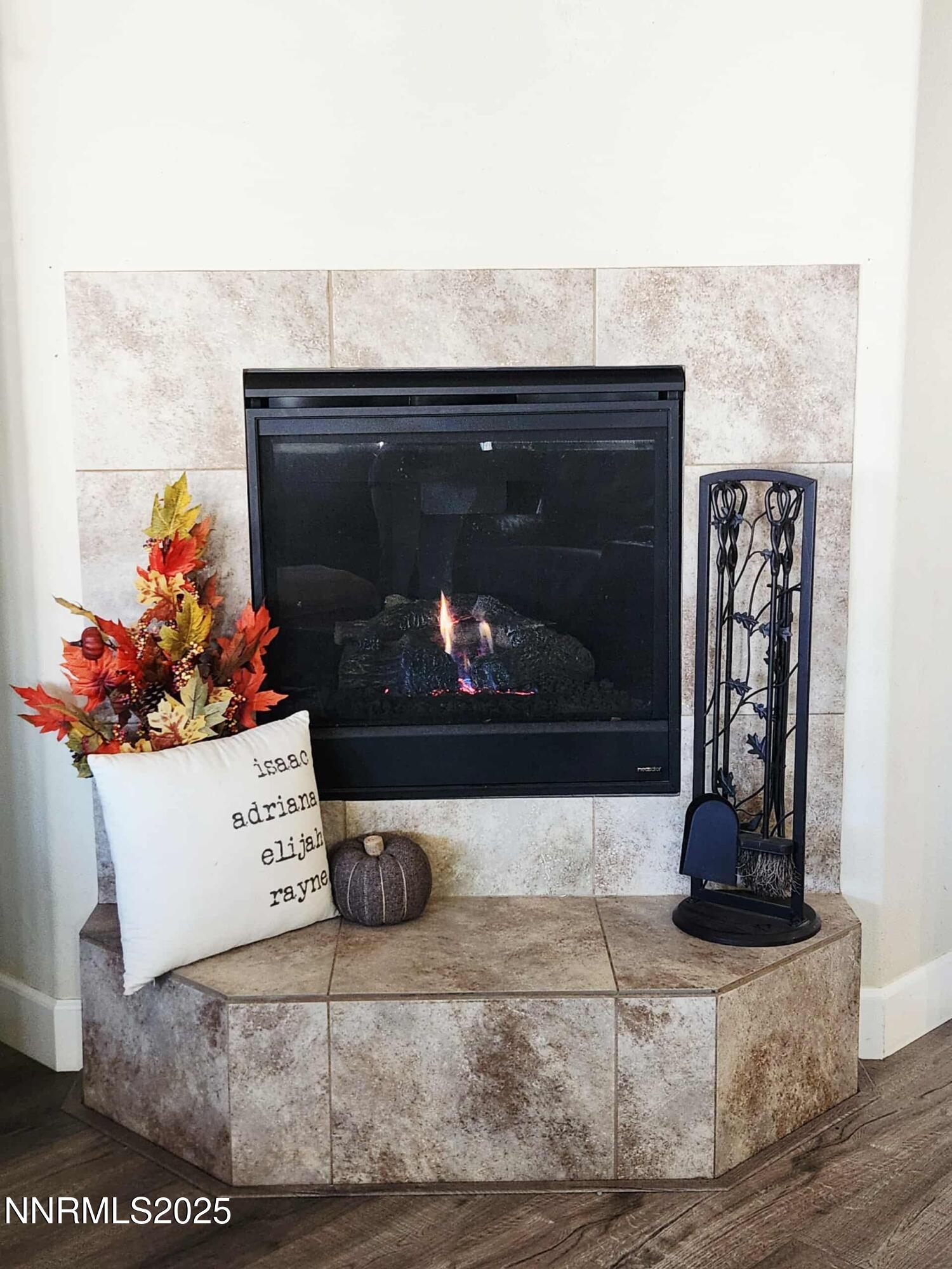 203 Verre Court Dayton, NV 89403 - Photo 11 of 28 a living room with a fireplace and flowers