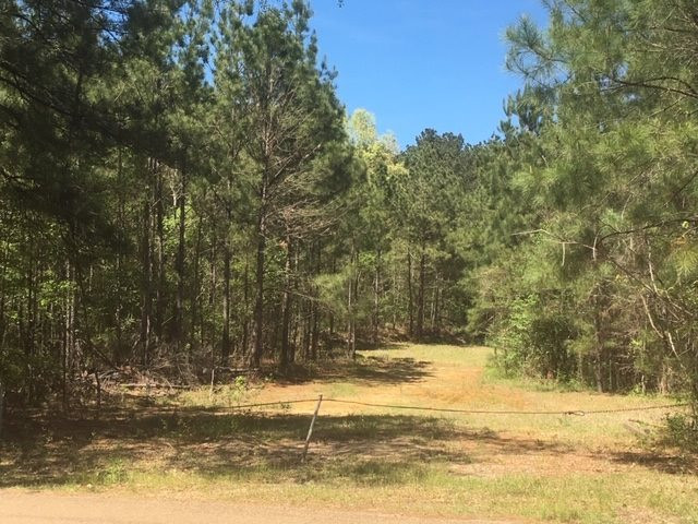 189 Sweet Home Church Road Pearl, MS 39208 - Photo 1 of 2 Photo 1