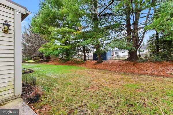 a view of a yard with plants and trees