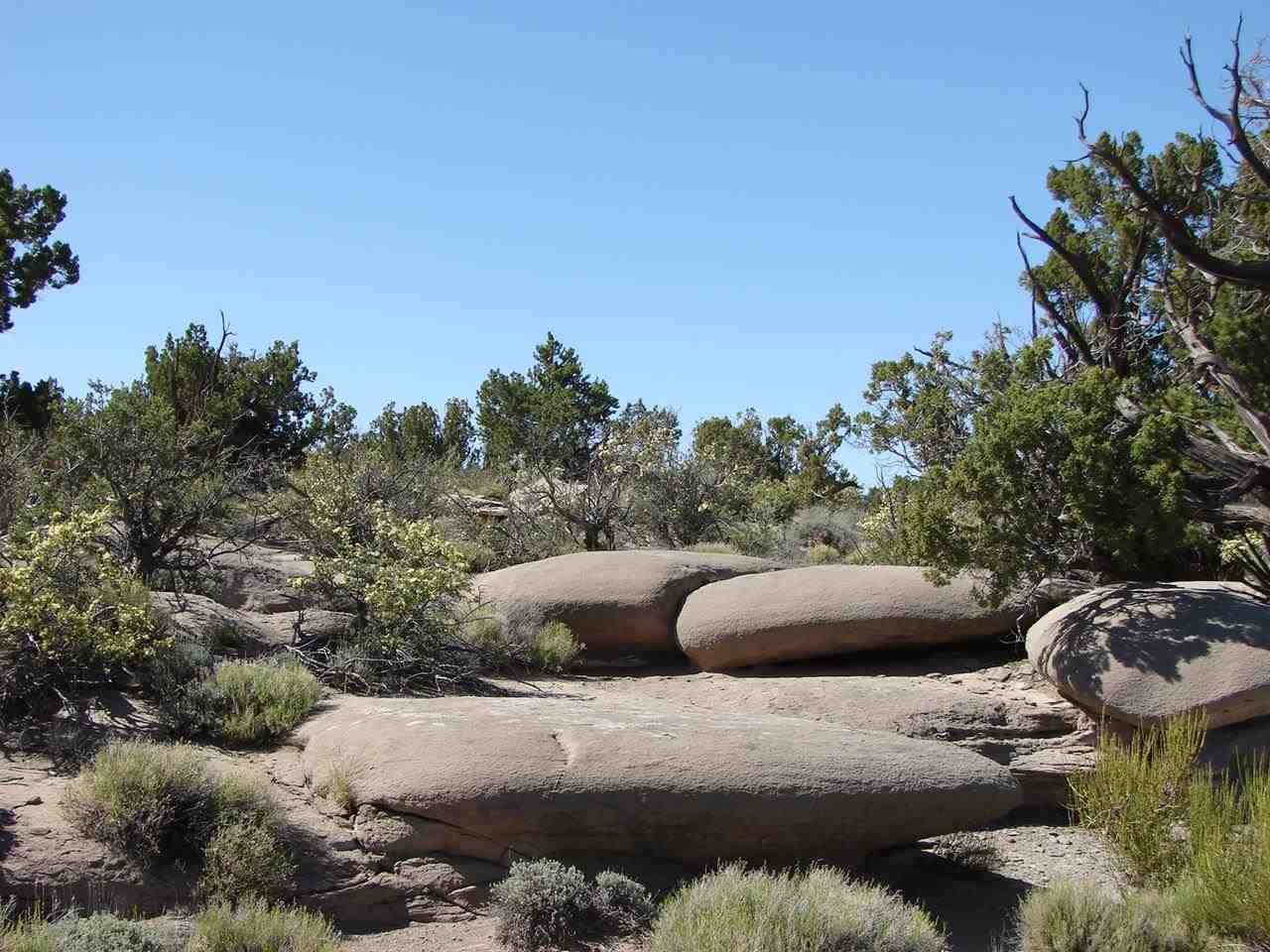 Tbd Perche Tbd Perche See Second Address Snowflake, AZ 85937 - Photo 11 of 16