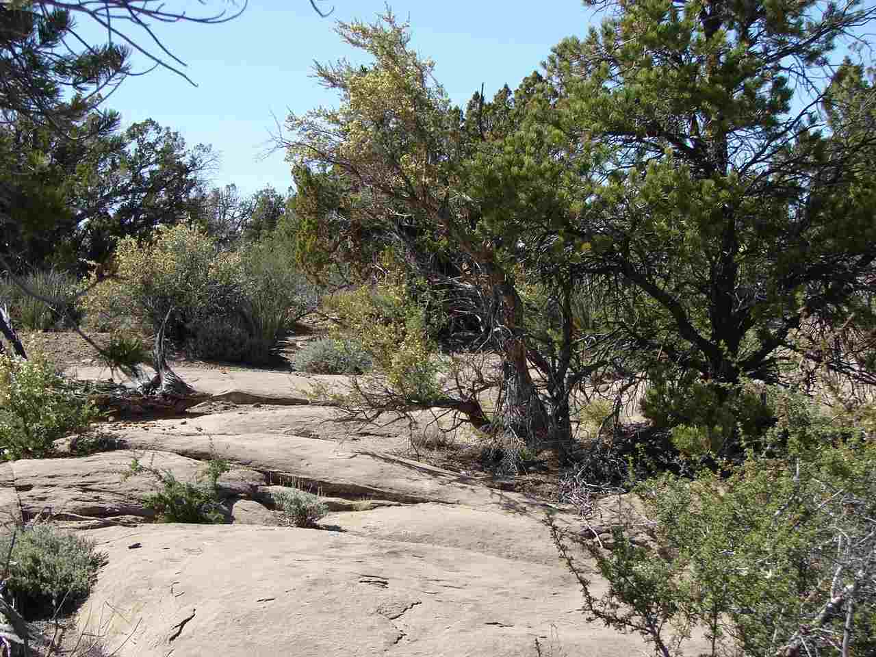 Tbd Perche Tbd Perche See Second Address Snowflake, AZ 85937 - Photo 15 of 16