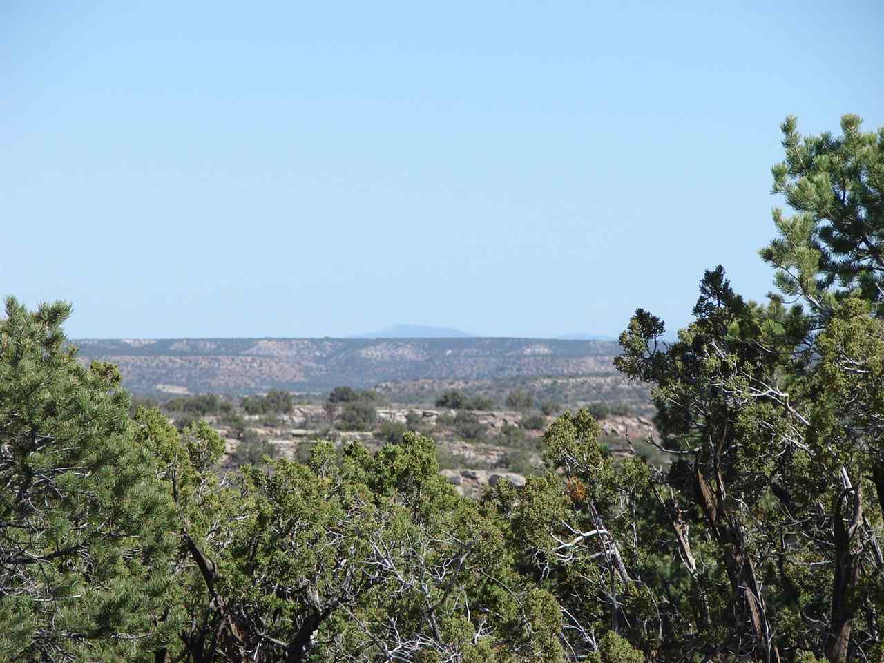 Tbd Perche Tbd Perche See Second Address Snowflake, AZ 85937 - Photo 16 of 16