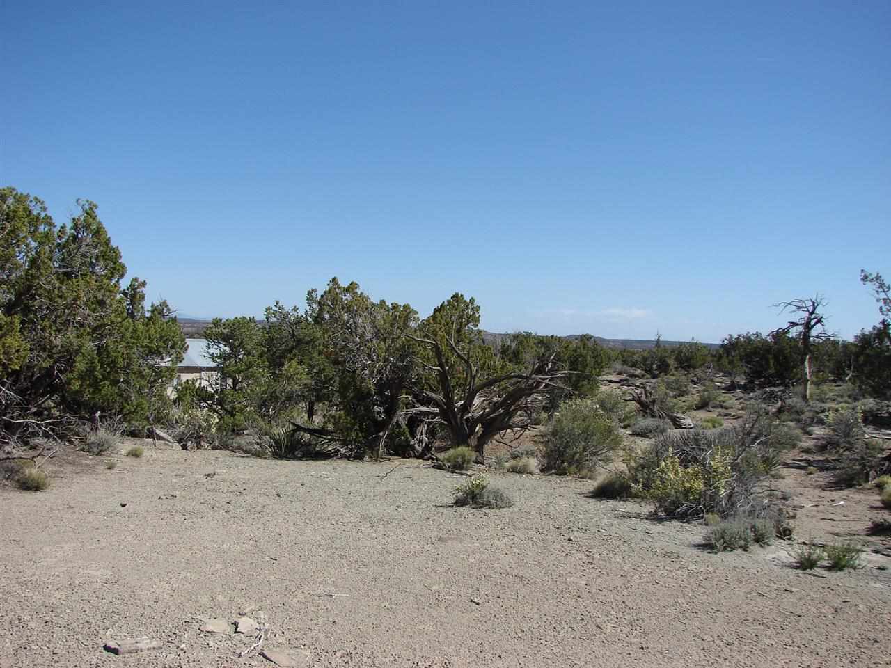 Tbd Perche Tbd Perche See Second Address Snowflake, AZ 85937 - Photo 5 of 16