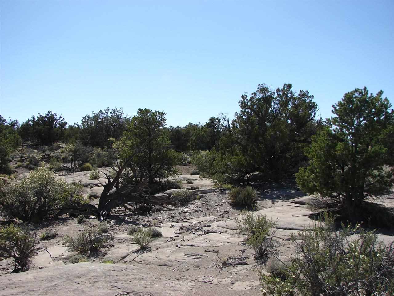 Tbd Perche Tbd Perche See Second Address Snowflake, AZ 85937 - Photo 8 of 16