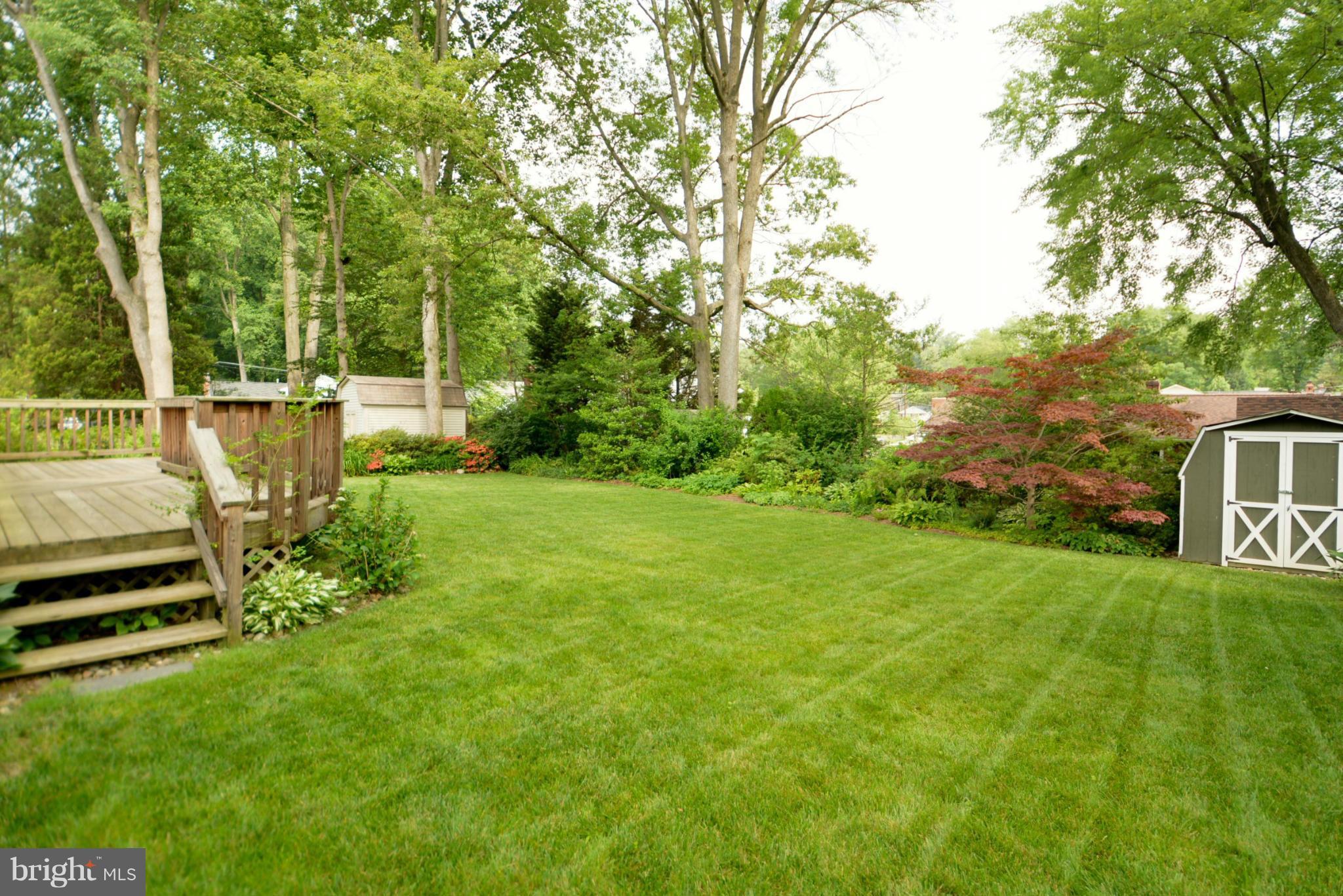 7512 Elgar Street Springfield, VA 22151 - Photo 3 of 6 Exterior (Rear) - Back yard