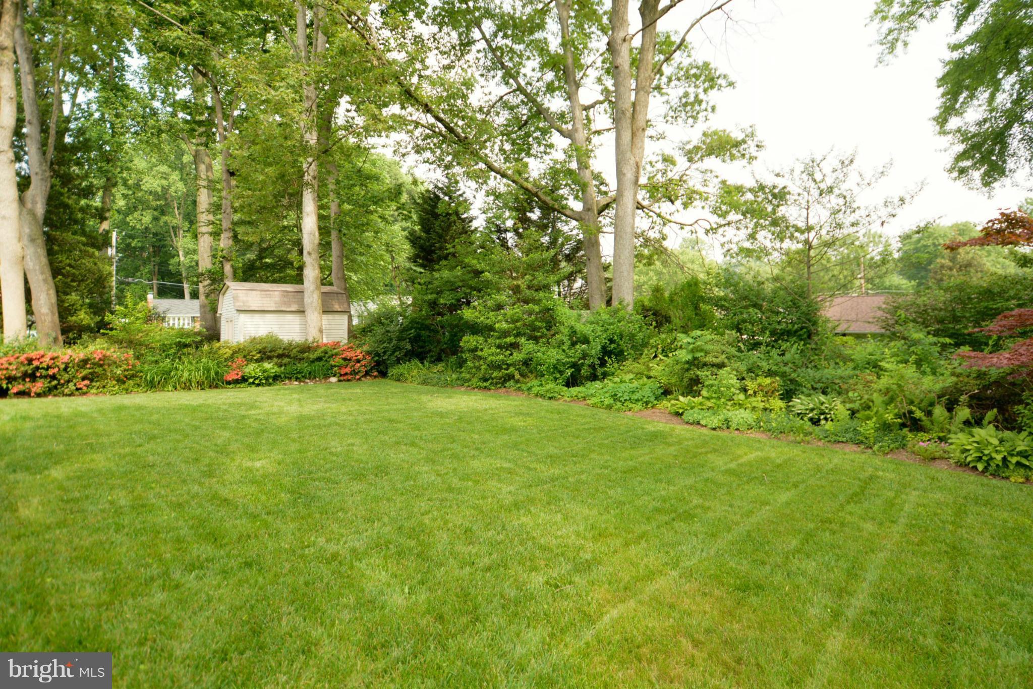 7512 Elgar Street Springfield, VA 22151 - Photo 4 of 6 Exterior (Rear) - Back yard