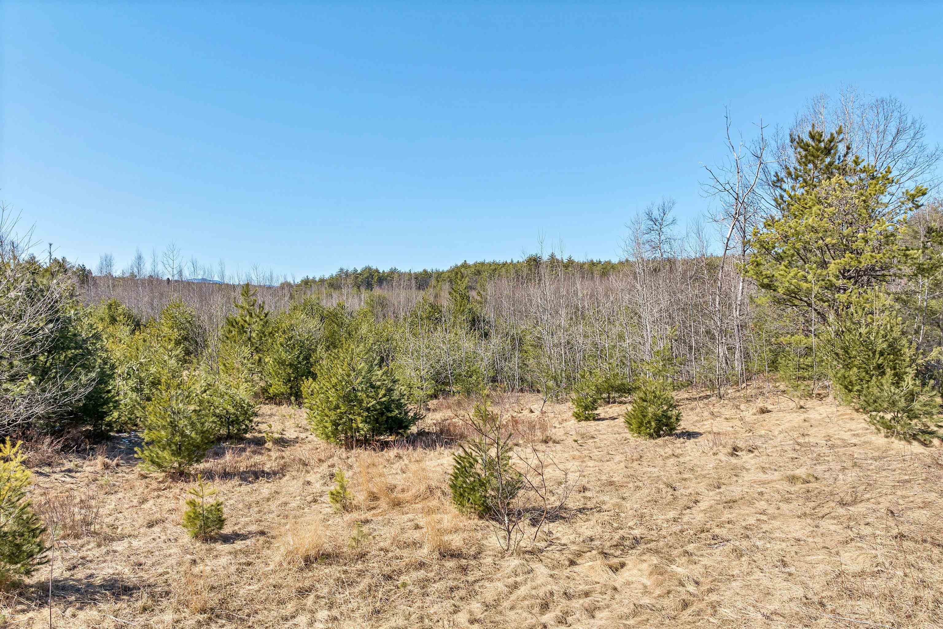 88-1 Stevens Road Effingham, NH 03882 - Photo 1 of 13 Gallery Image 1