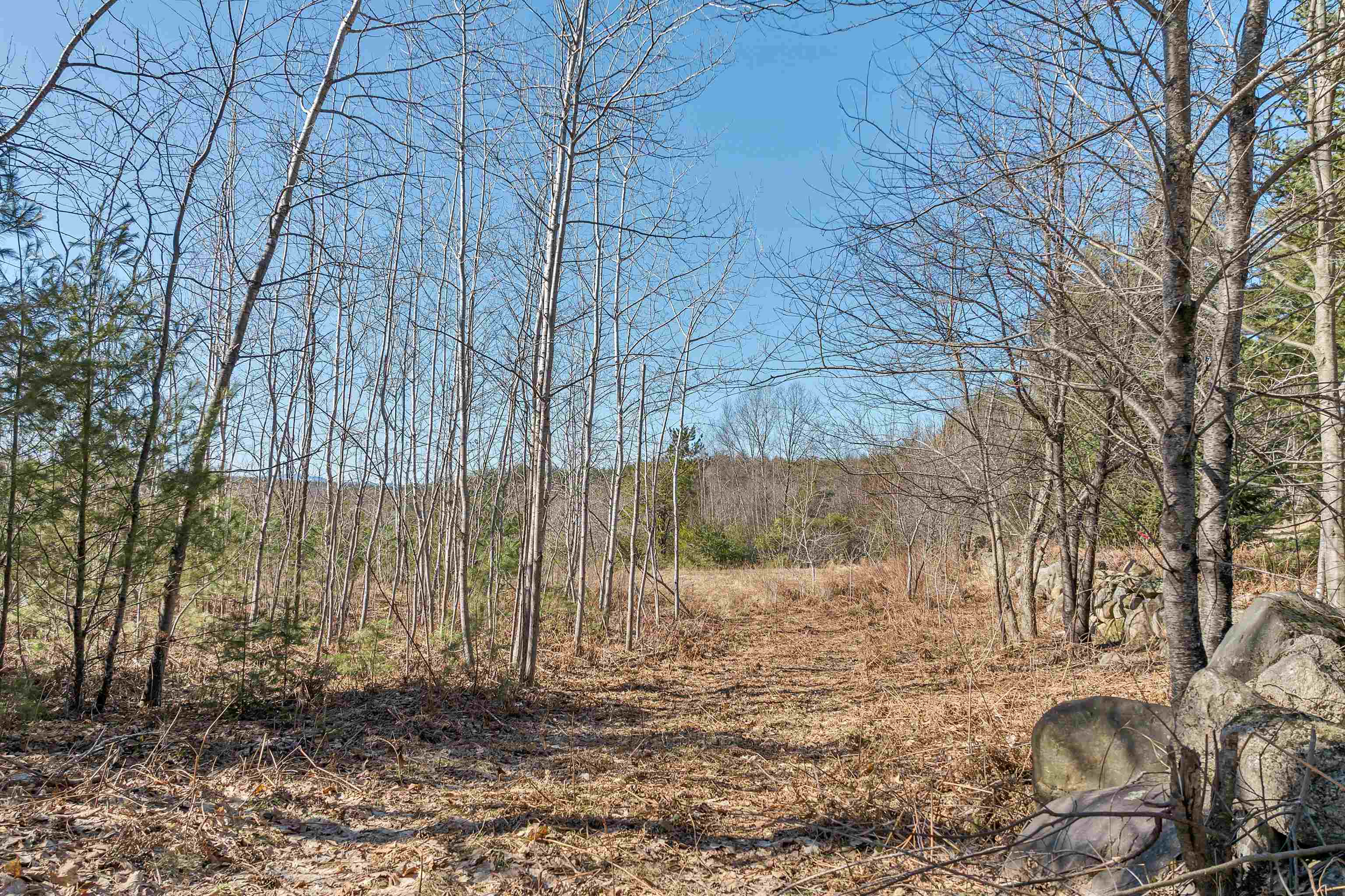 88-1 Stevens Road Effingham, NH 03882 - Photo 3 of 13 Gallery Image 3