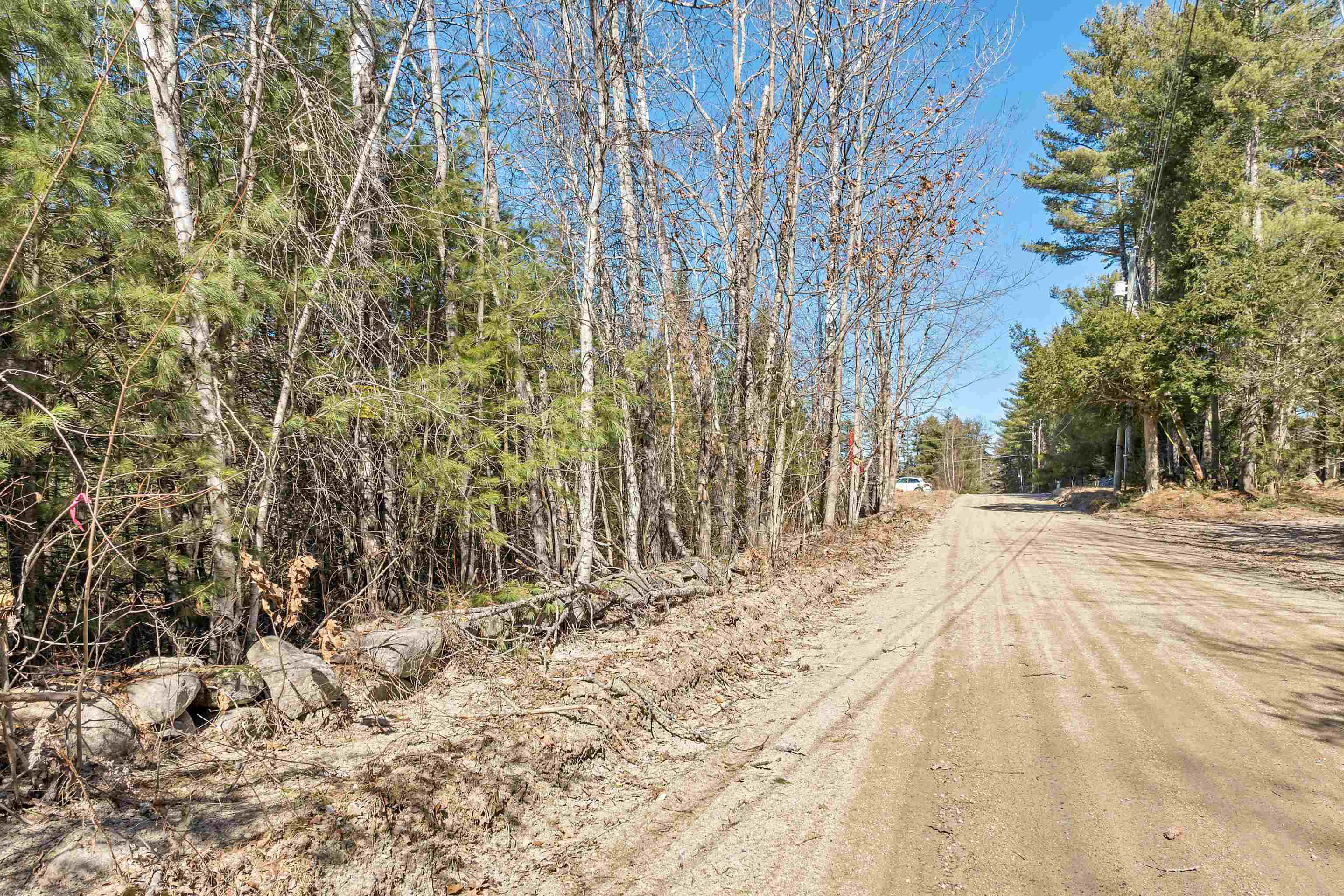 88-1 Stevens Road Effingham, NH 03882 - Photo 4 of 13 Gallery Image 4