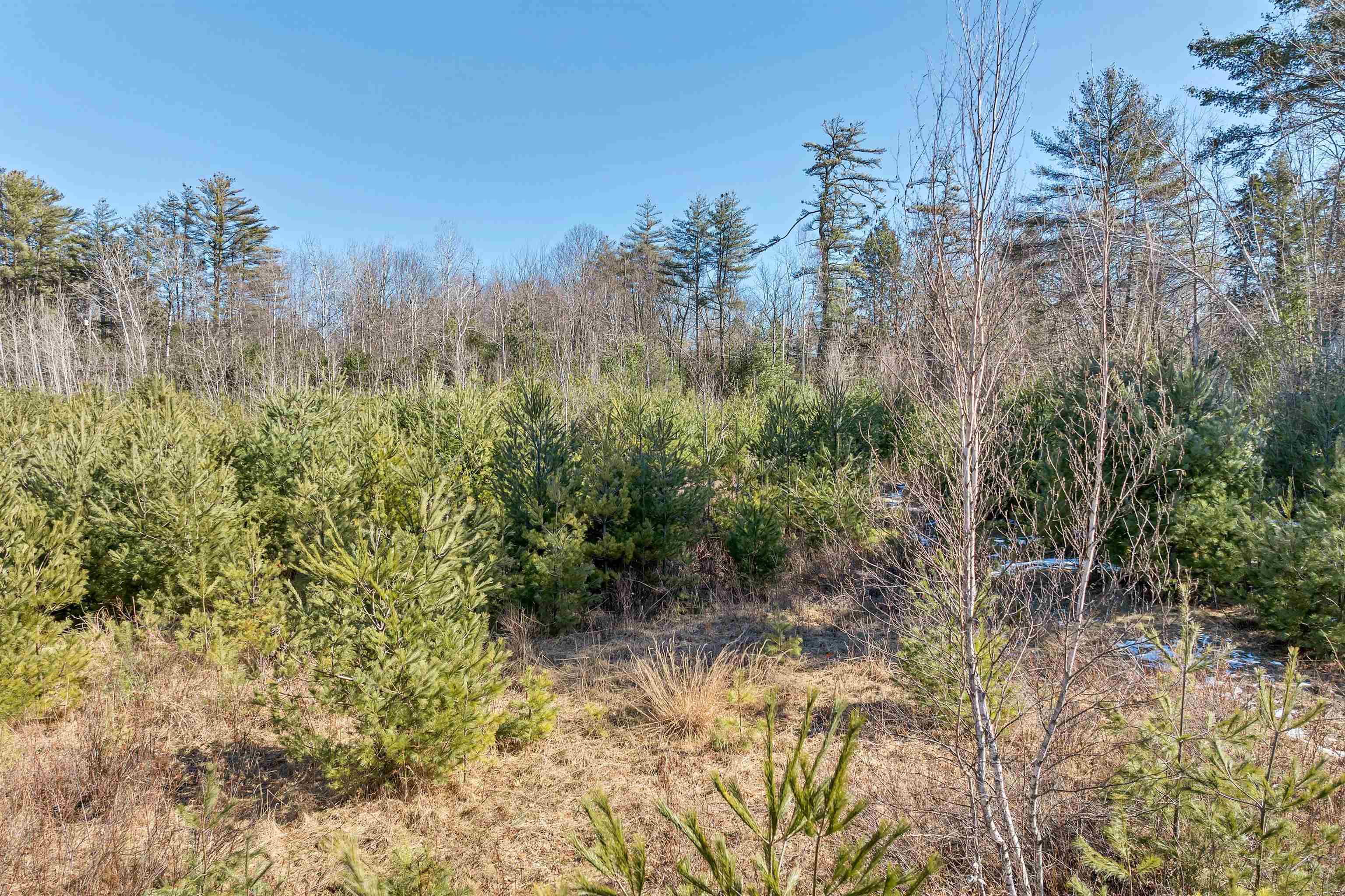 88-1 Stevens Road Effingham, NH 03882 - Photo 7 of 13 Gallery Image 7