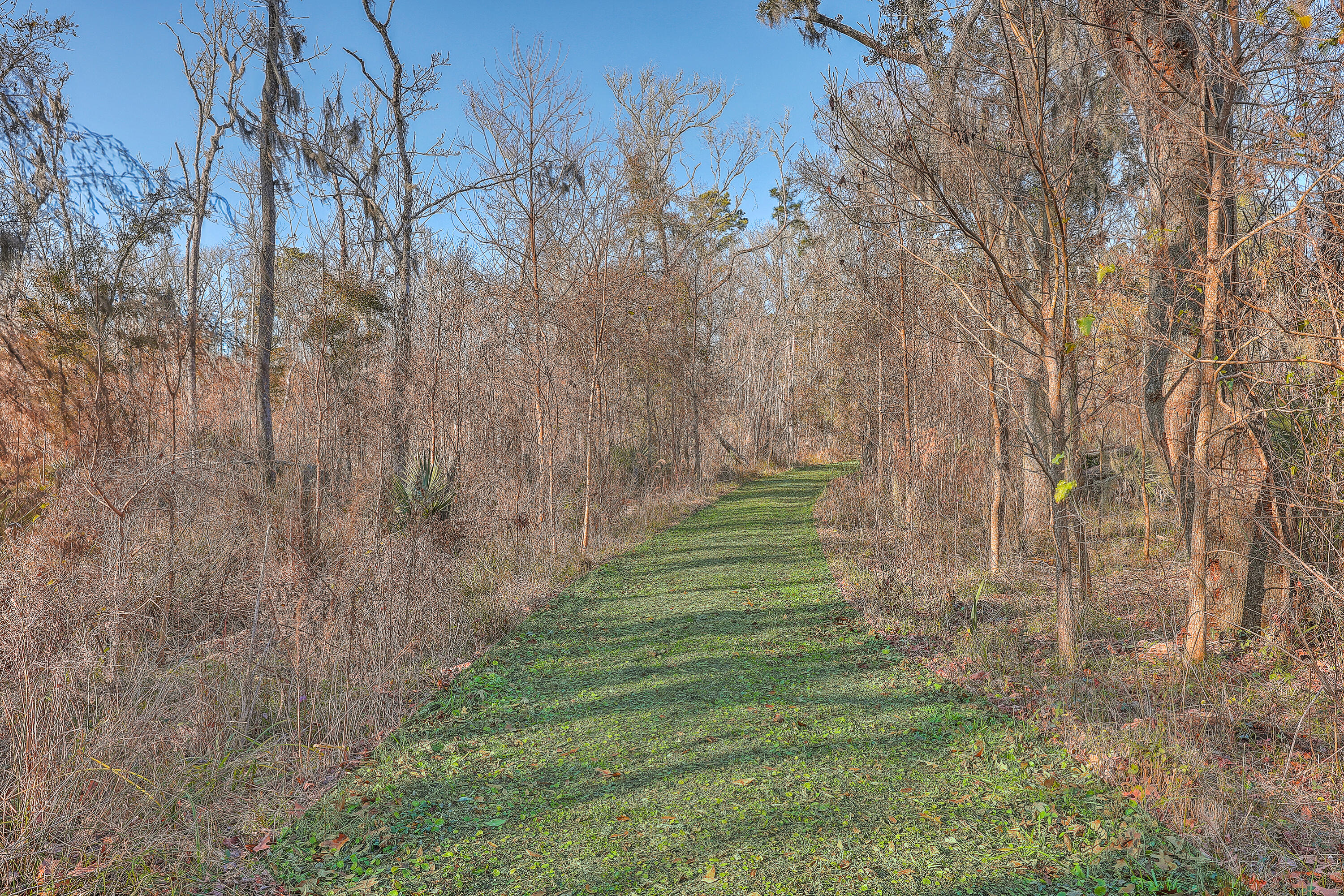3980 River Road Johns Island, SC 29455 - Photo 87 of 110 ZYN_8303_4_5_6_7_8_9
