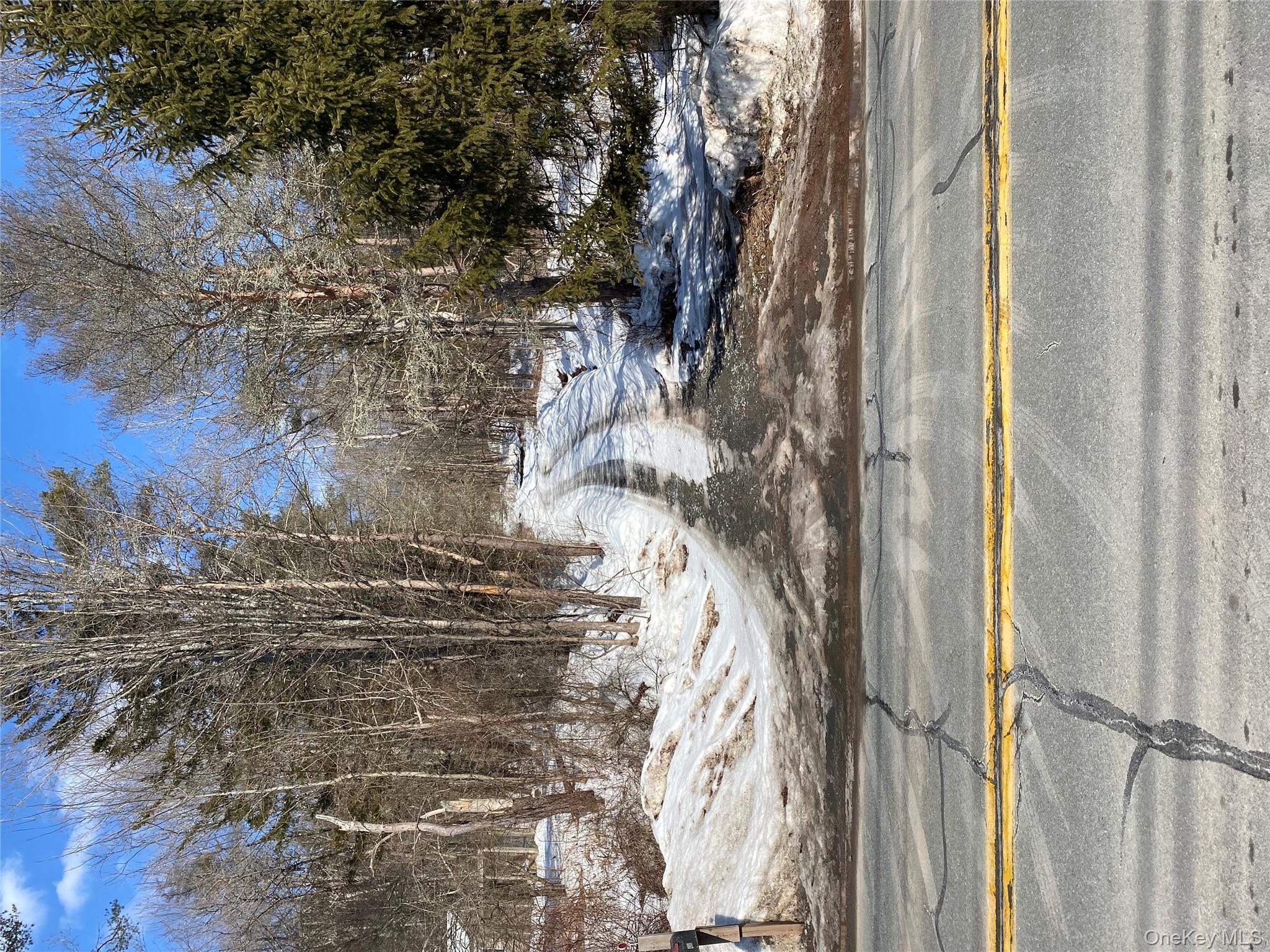 1432 Old Rte 17 Livingston Manor, NY 12758 - Photo 1 of 4 a view of a yard with large trees