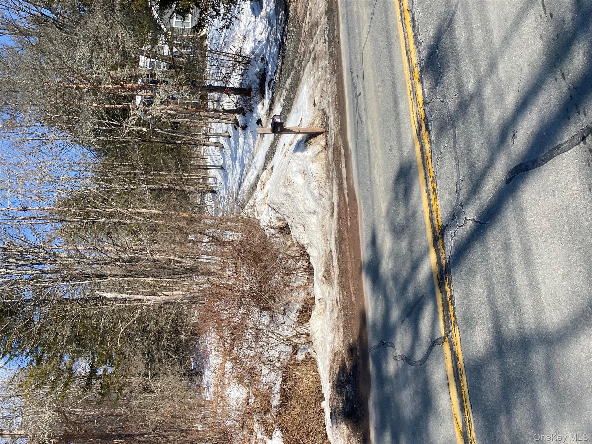 1432 Old Rte 17 Livingston Manor, NY 12758 - Photo 2 of 4 a view of a yard with large trees