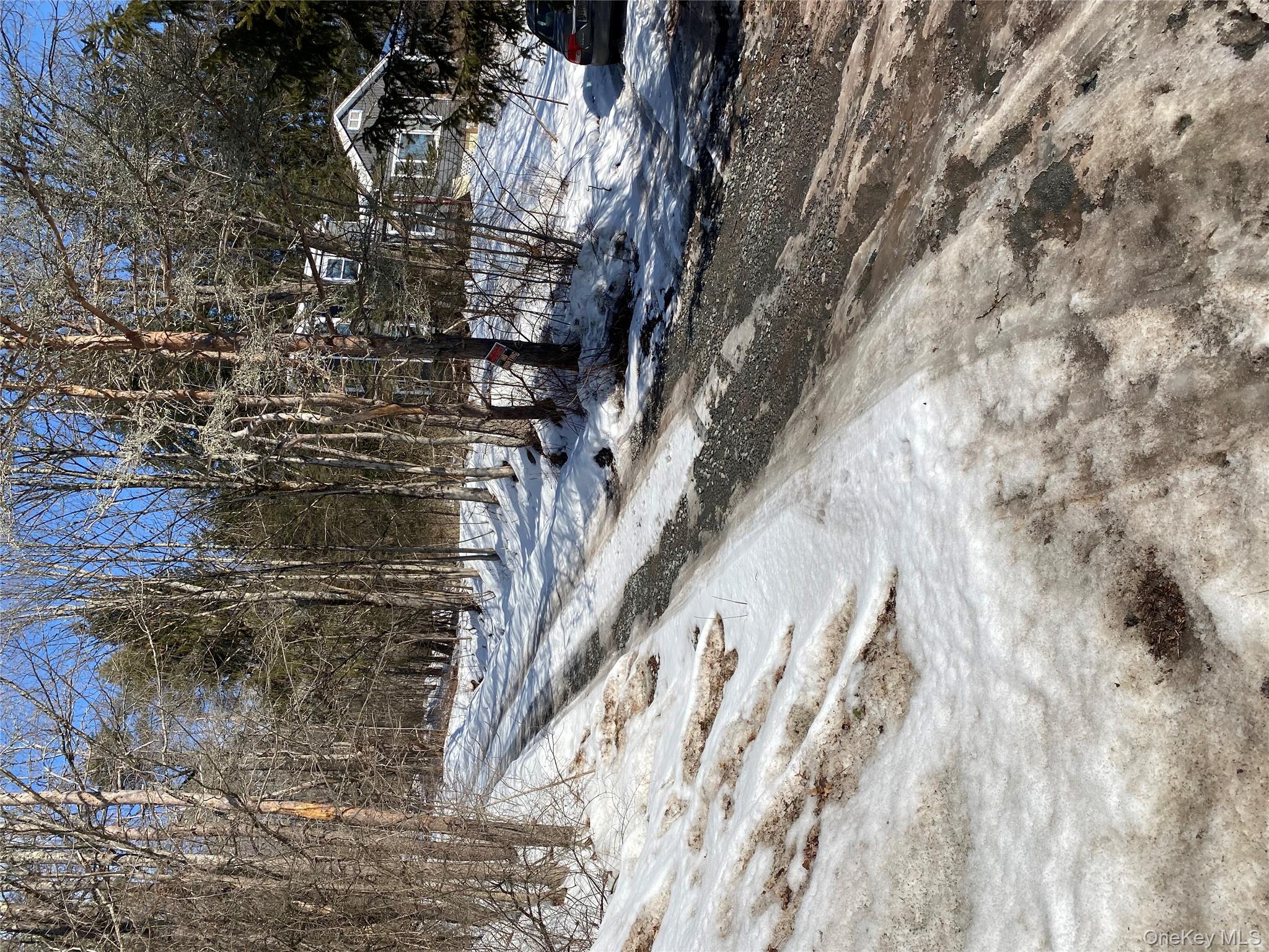 1432 Old Rte 17 Livingston Manor, NY 12758 - Photo 3 of 4 a view of a tree with a yard