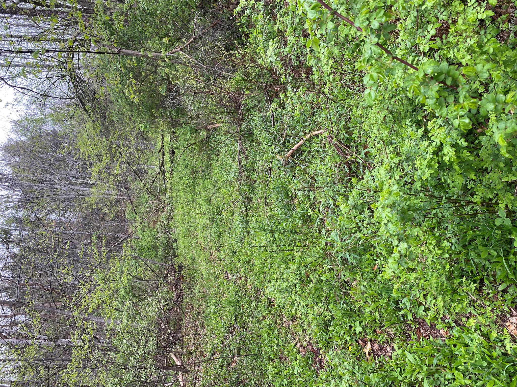 1432 Old Rte 17 Livingston Manor, NY 12758 - Photo 8 of 10