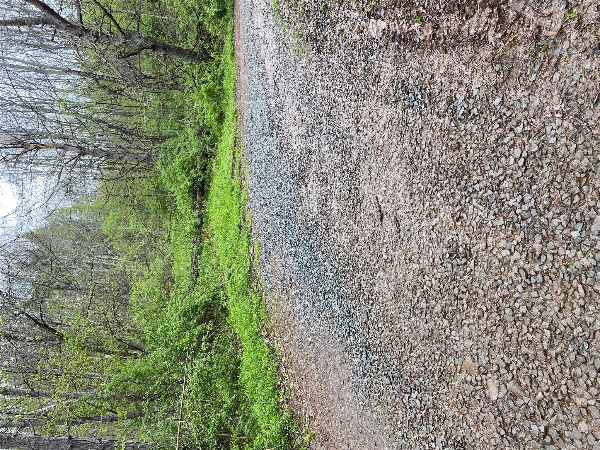 1432 Old Rte 17 Livingston Manor, NY 12758 - Photo 9 of 10