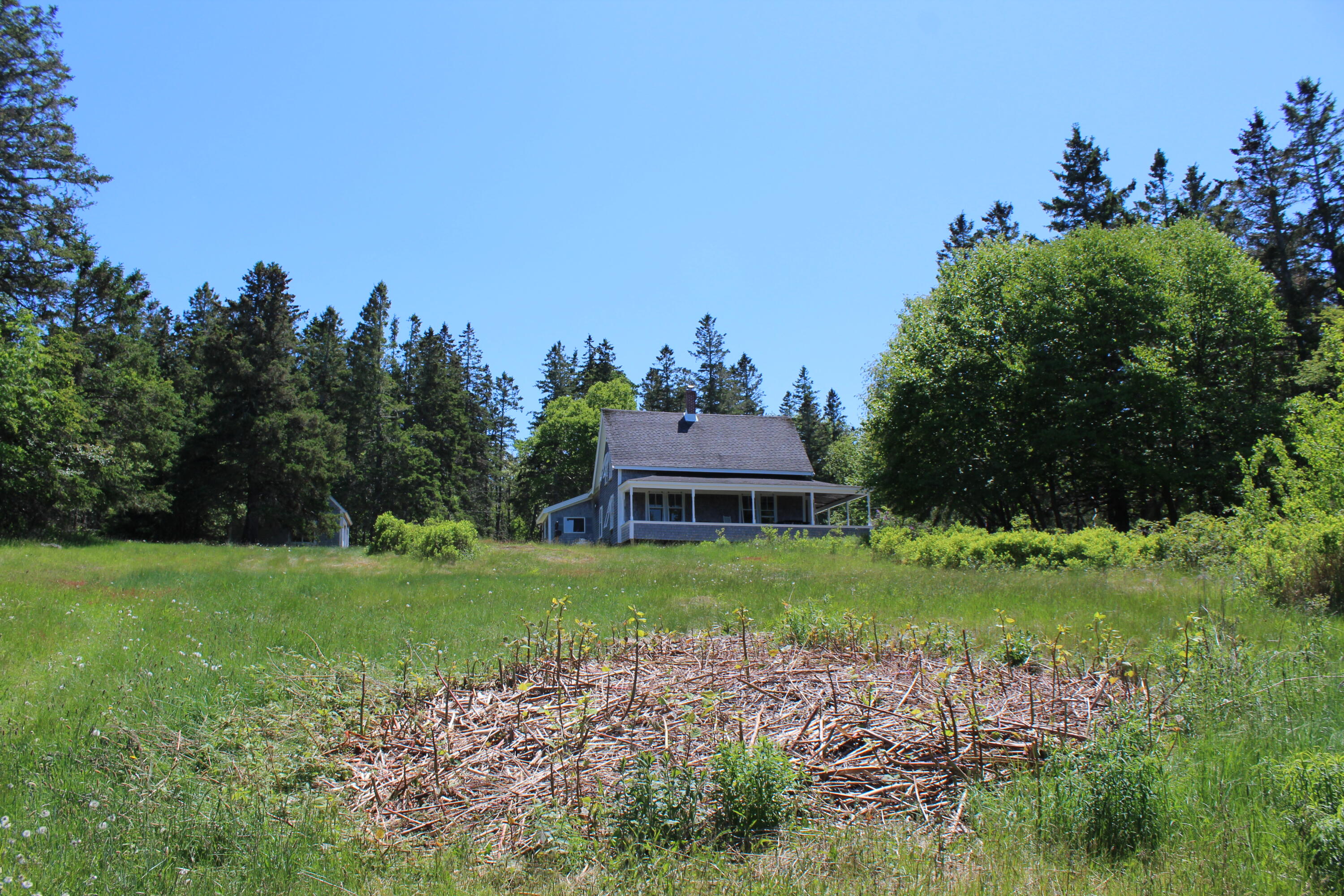 45 Kendall Head Road Eastport, ME 04631 - Photo 70 of 117 IMG_7041