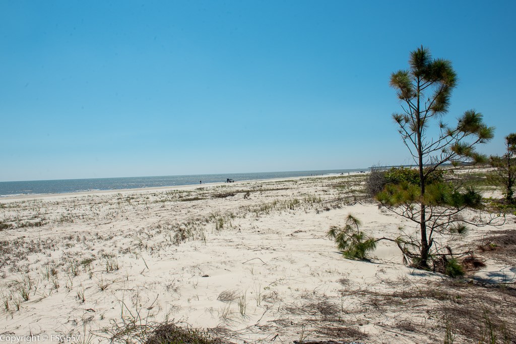 Lot 7 Curve Rd Cape, Unit LOT 7 Port St. Joe, FL 32456 - Photo 11 of 19