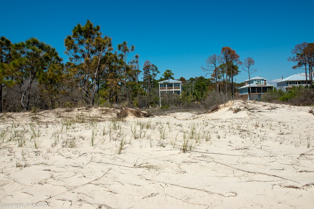 Lot 7 Curve Rd Cape, Unit LOT 7 Port St. Joe, FL 32456 - Photo 12 of 19