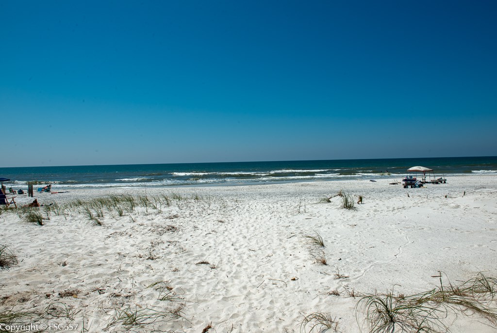 Lot 7 Curve Rd Cape, Unit LOT 7 Port St. Joe, FL 32456 - Photo 7 of 19