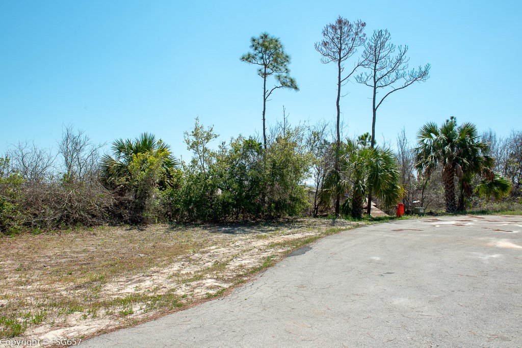 Lot 7 Curve Rd Cape, Unit LOT 7 Port St. Joe, FL 32456 - Photo 8 of 19