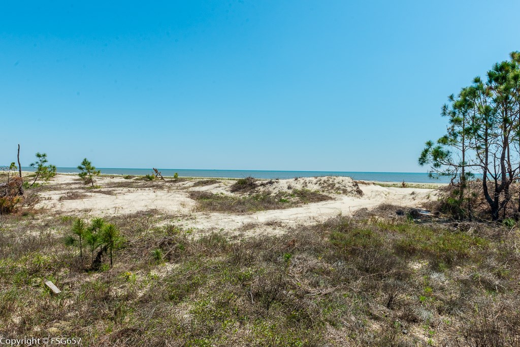 Lot 7 Curve Rd Cape, Unit LOT 7 Port St. Joe, FL 32456 - Photo 9 of 19