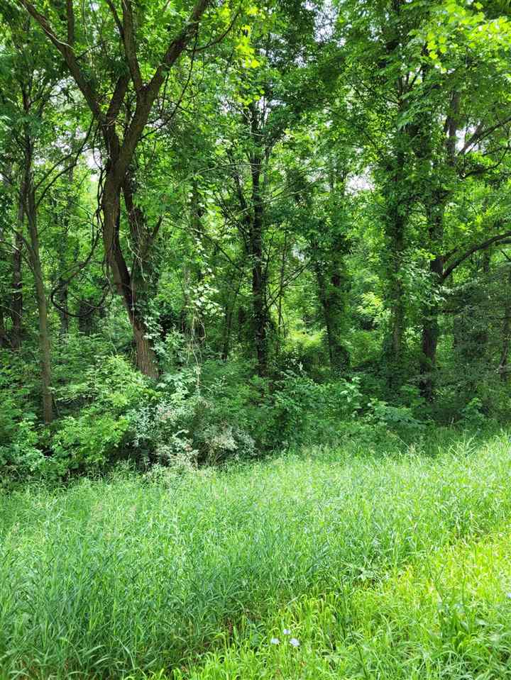 V/l Scott Road Nashville, MI 49058 - Photo 1 of 1