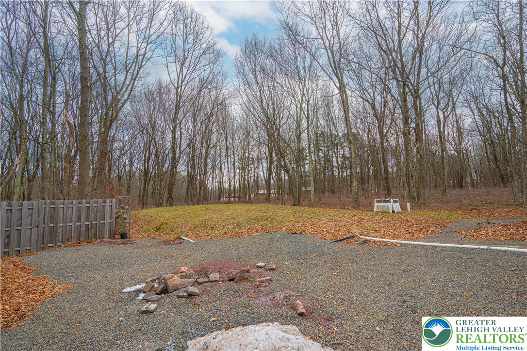 53 Panther Run Road Jim Thorpe, PA 18229 - Photo 45 of 53 a view of a yard with trees