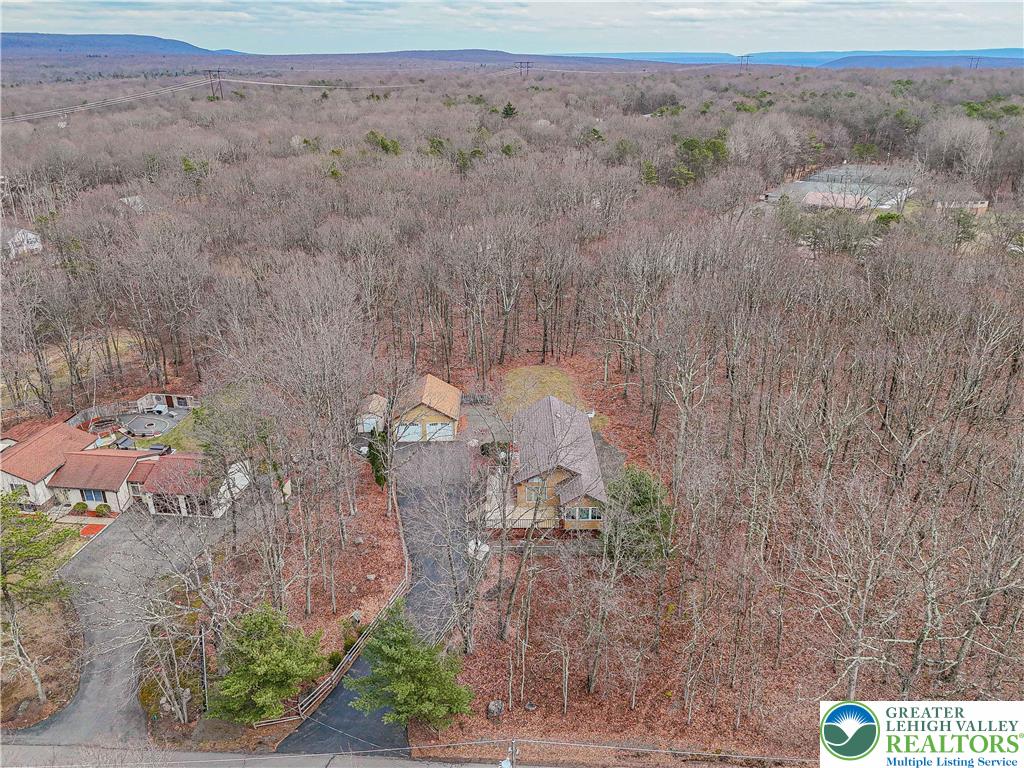 53 Panther Run Road Jim Thorpe, PA 18229 - Photo 50 of 53 a view of a dry yard with trees