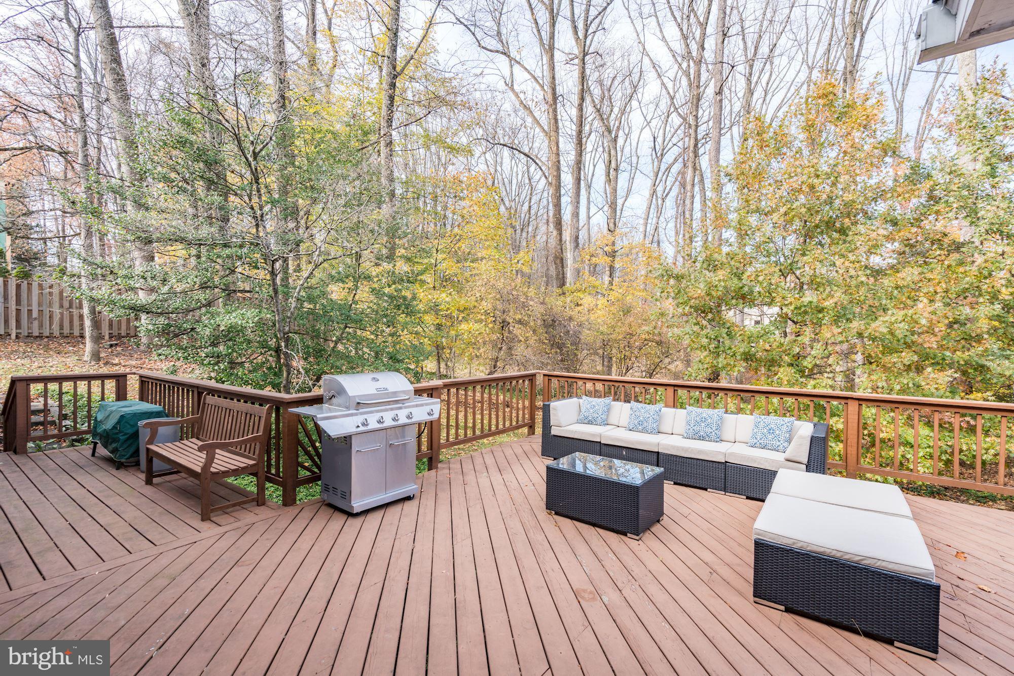 1044 Rector Lane McLean, VA 22102 - Photo 46 of 53 Deck