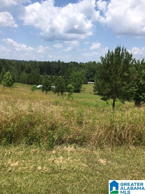 17220 Highway 46 Ranburne, AL 36273 - Photo 6 of 19