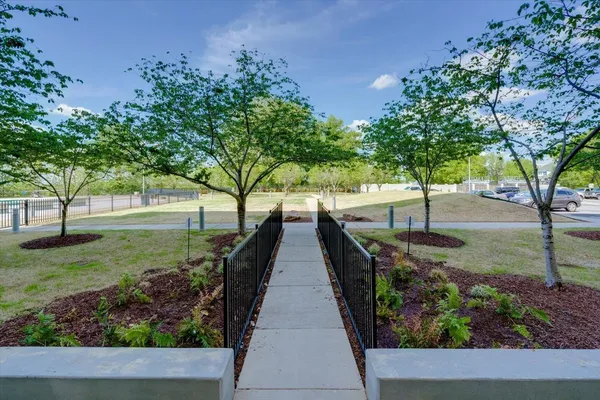 a view of park with large trees