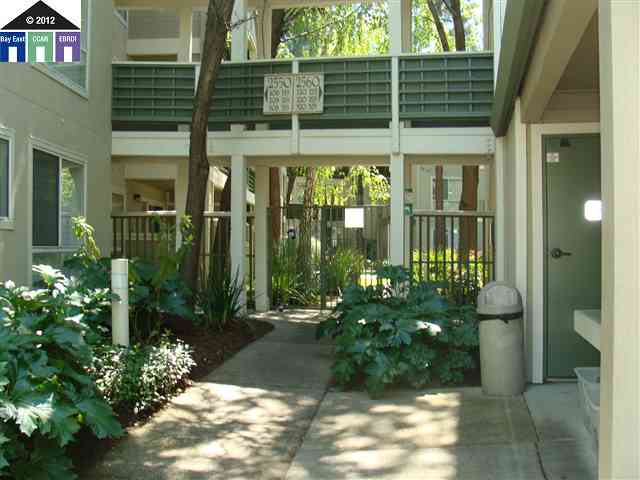 a view of a house with a garden