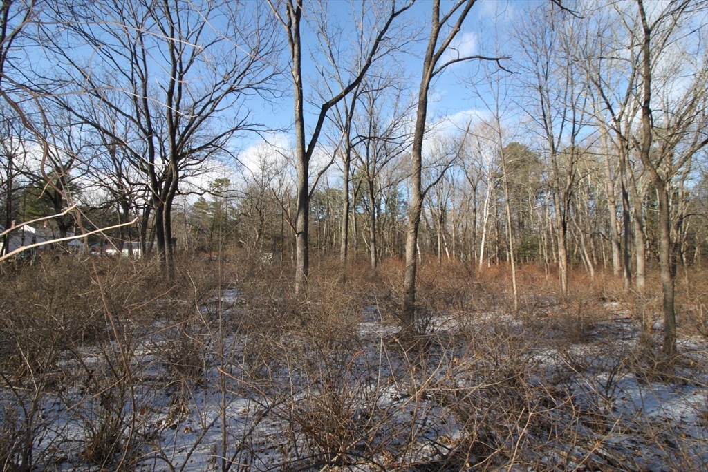 46 Taylor Road Acton, MA 01720 - Photo 11 of 23