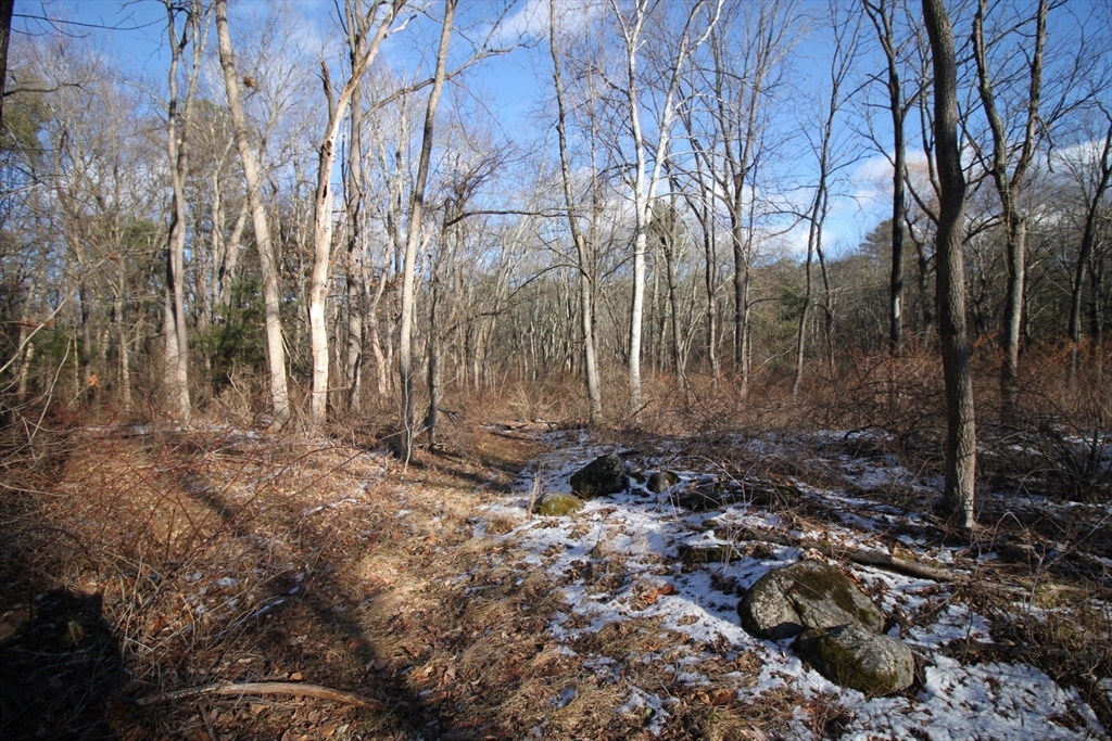 46 Taylor Road Acton, MA 01720 - Photo 23 of 23