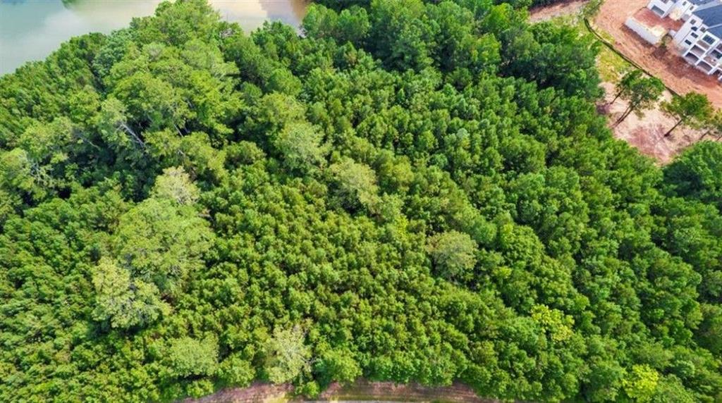 722 Giverny Boulevard Fairburn, GA 30213 - Photo 6 of 8 a view of a lush green forest with lots of trees