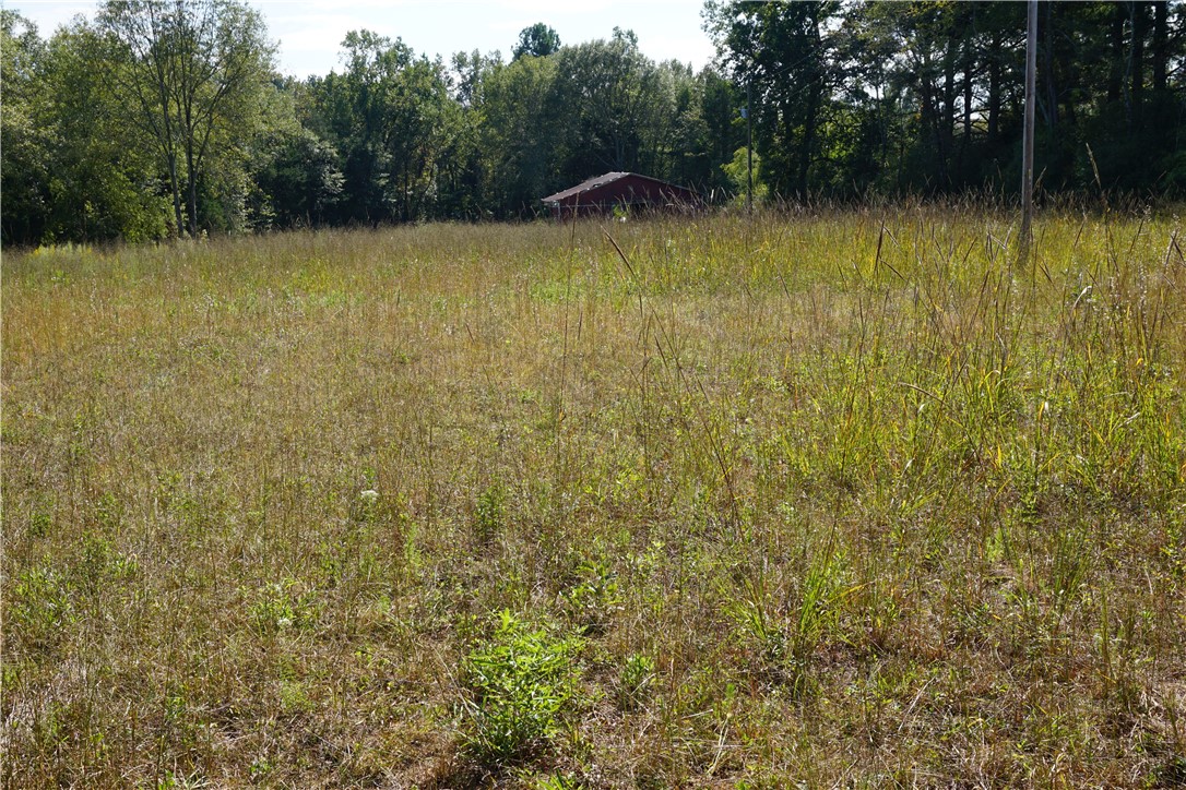 Na Link Road Pendleton, SC 29670 - Photo 3 of 5