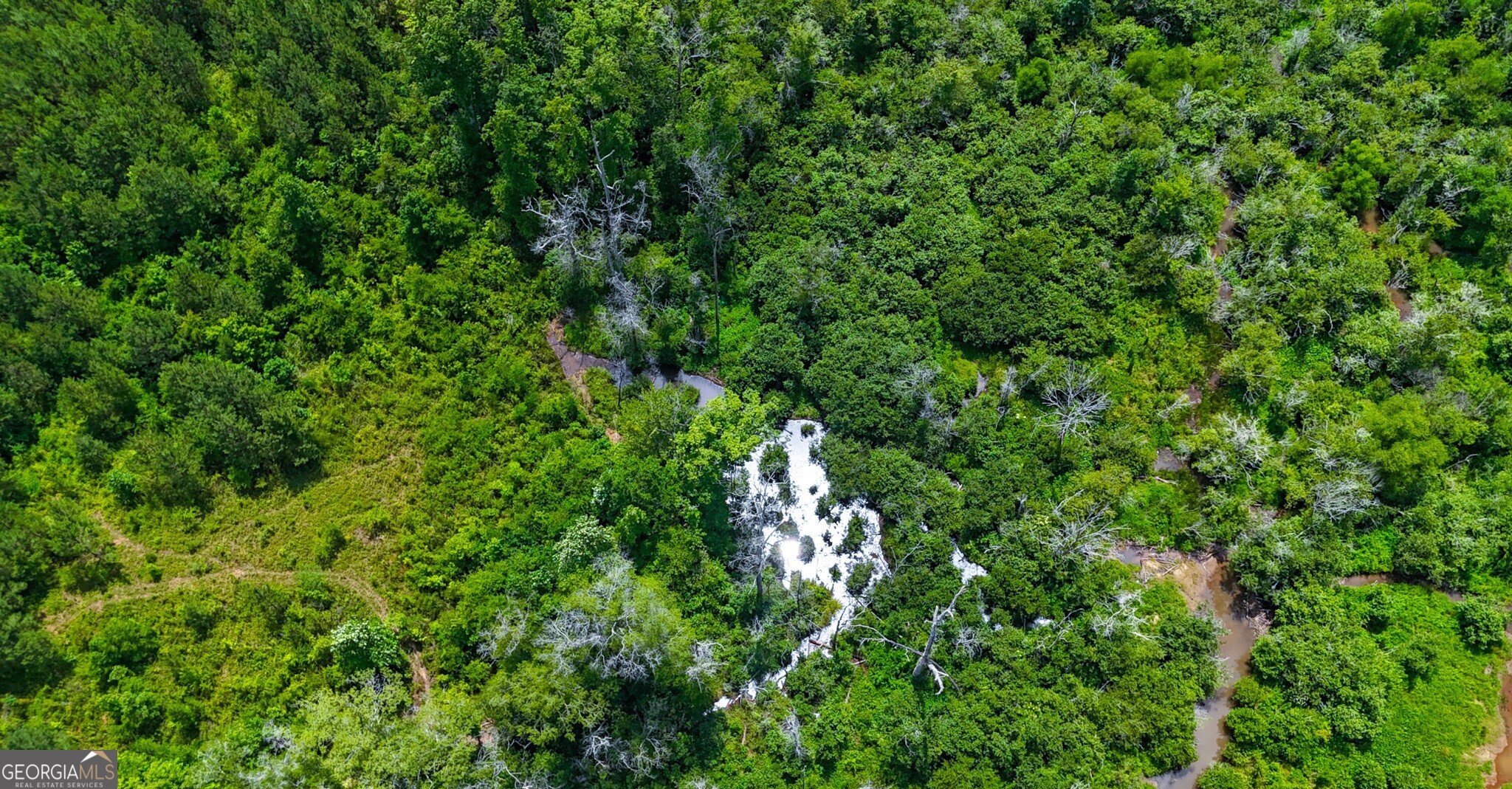 0 Noles Road Franklin, GA 30217 - Photo 9 of 21 a view of a lush green forest