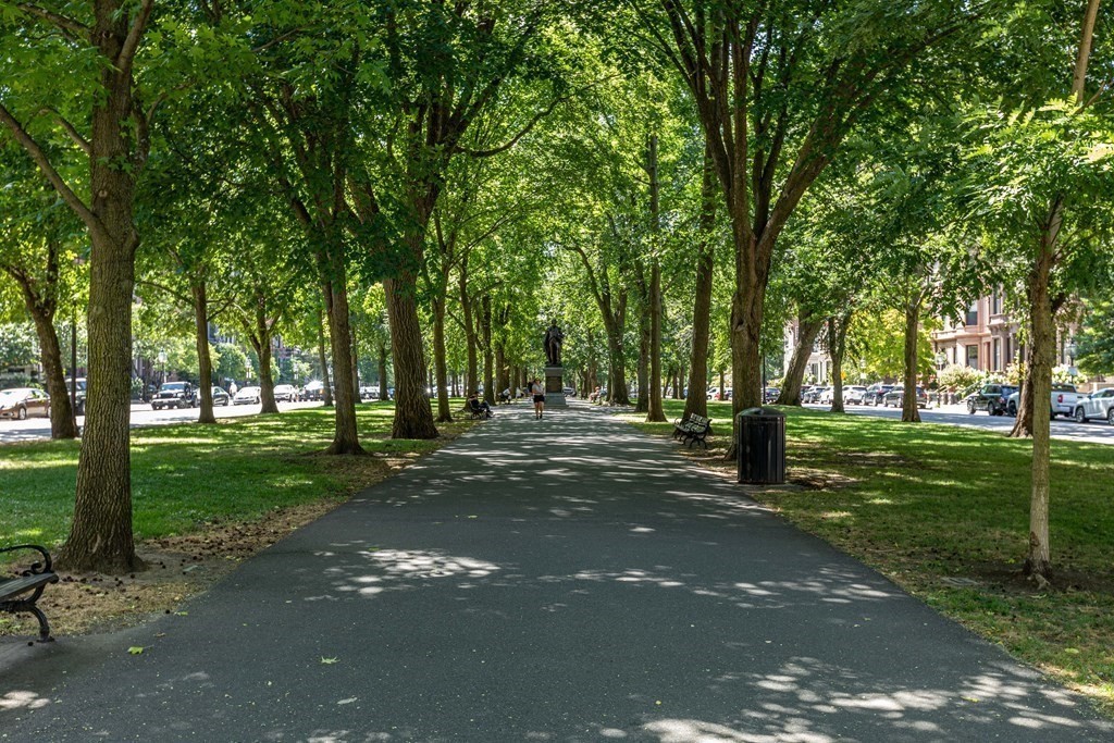 362 Commonwealth Avenue, Unit 2A Boston, MA 02115 - Photo 28 of 38 a view of road with trees