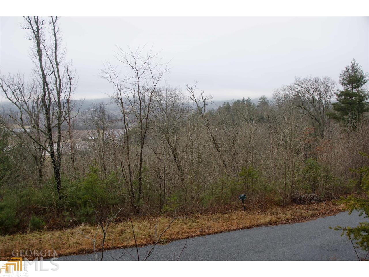 0 Winter Court, Unit 35 Rabun Gap, GA 30568 - Photo 2 of 10 a view of outdoor space and yard