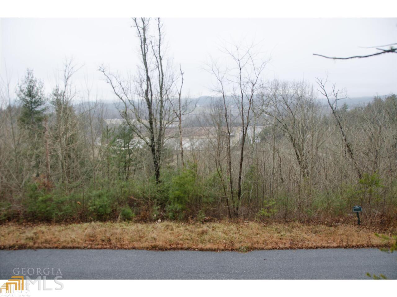 0 Winter Court, Unit 35 Rabun Gap, GA 30568 - Photo 3 of 10 a view of a yard