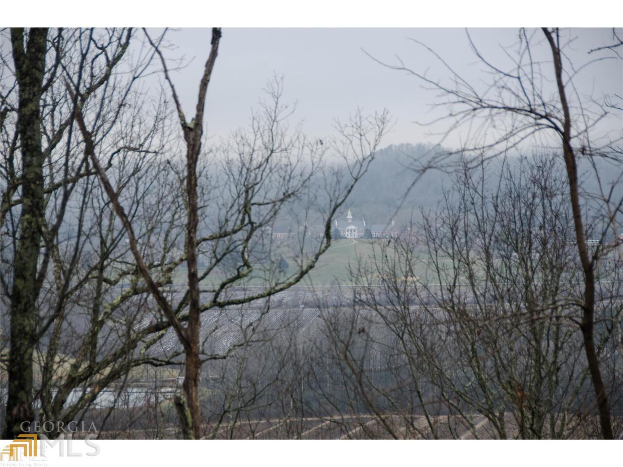 0 Winter Court, Unit 35 Rabun Gap, GA 30568 - Photo 5 of 10 a backyard of a house with lots of green space