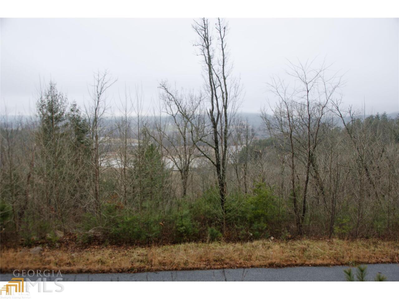 0 Winter Court, Unit 35 Rabun Gap, GA 30568 - Photo 9 of 10 a view of outdoor space and yard