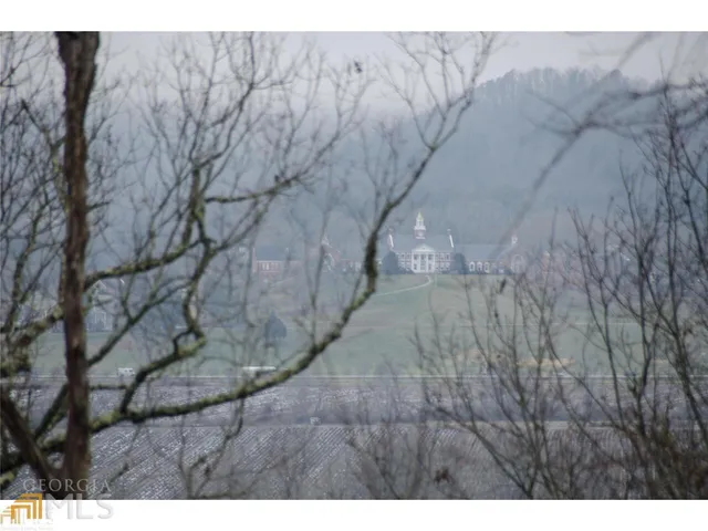 a view of a dry yard with trees