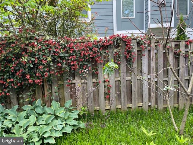 6521 East Halbert Road Bethesda, MD 20817 - Photo 45 of 52 Red Flowering Climbing Vines