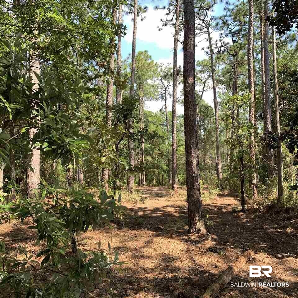 Yucatan Drive Elberta, AL 36530 - Photo 14 of 15